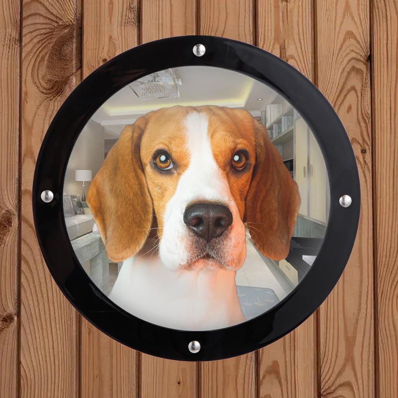 Wall-Mounted Transparent Acrylic Pet Window Fence