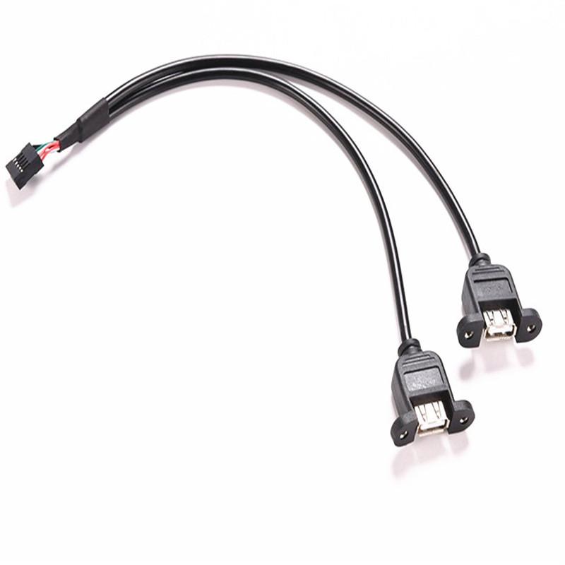 9PIN to USB Cable 9Pin 2.54mm 2.0mm to Dual USB2.0 A Female Plug Converter with Screw Hole Lock Panel for Motherboard Mount Cord