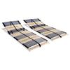 VidaXL Slat Bed Bases 2 Pcs with 42 Slats 7 Zones 80x200 Cm