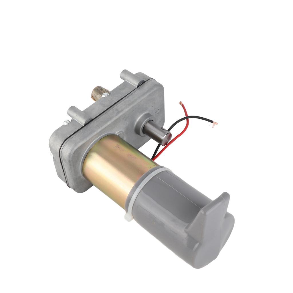 DC 12V RV Slide Out Motor Power Gear Replacement 523900 High Torque Double Shaft Pin Free