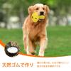 SCHITEC Dog Chew Food Mushroom Educational Stress Training Suitable for Medium to Large Dogs Toy, Bowl/Treat Dispenser, Shape, Toy, Relief, Exercise,