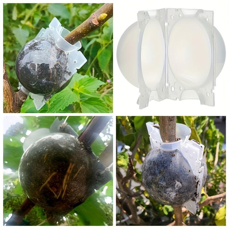 10 Piezas Bola de Enraizamiento de Plantas Caja de Propagación Kit de Injerto de Alta Presión, Esquejes y Enraizamiento Maceta de Guardería para Hogar Granja