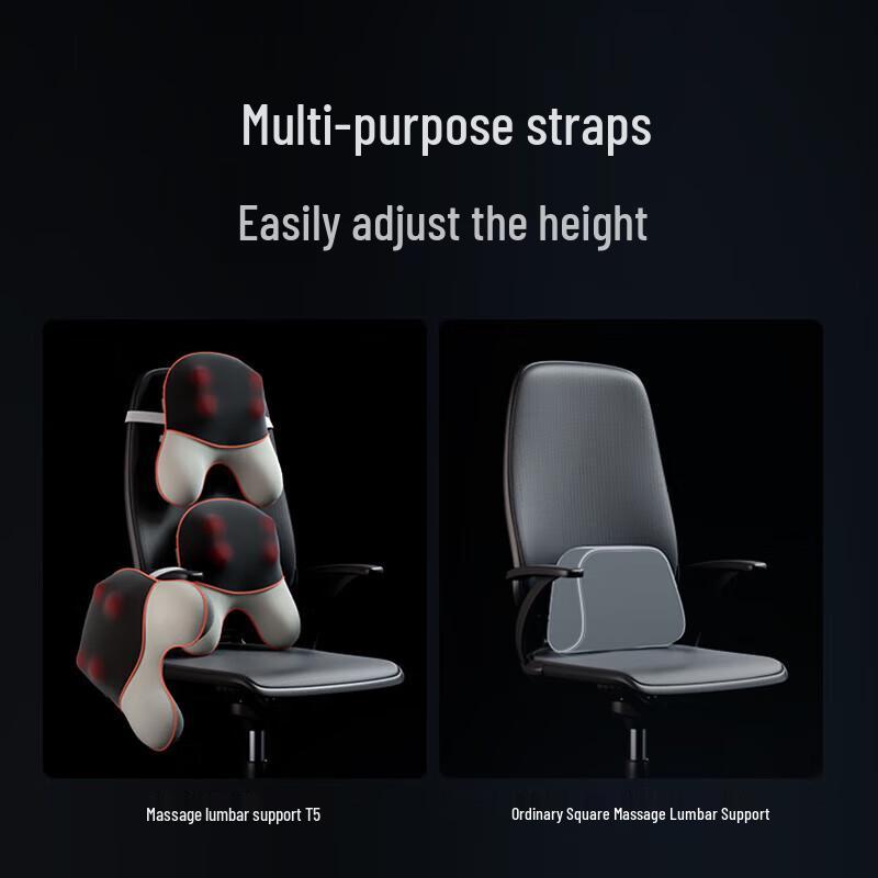SKG T5 Lumbar and Waist Massager