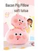 Cute Pig Bacon Plush Pillow - Sofa Backrest & Bed Cushion Doll Gift