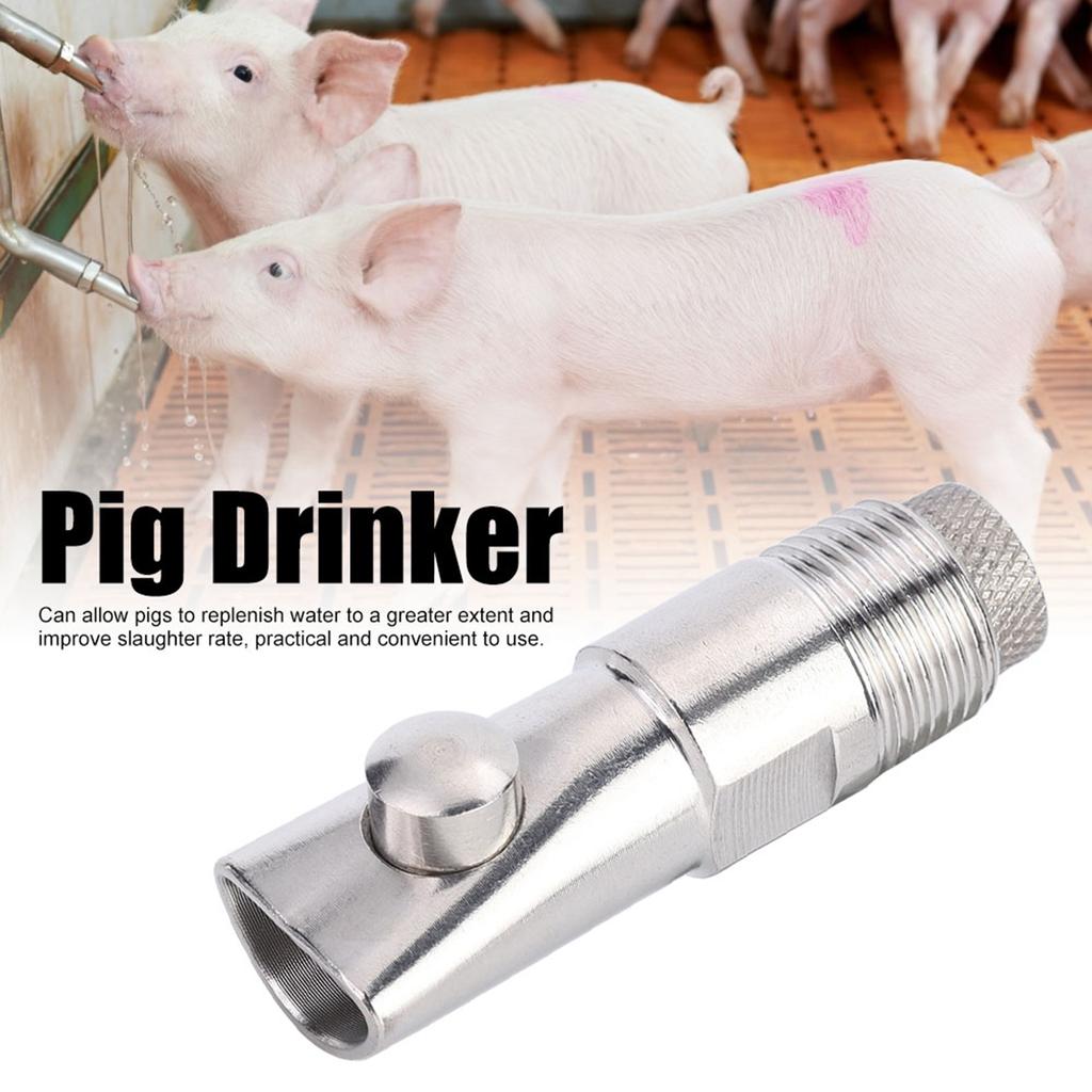 5Pcs DN15 Stainless Steel Flat Nozzle Automatic Pig Drinker Farm Accessory for Cattle Sheep Pig68mm