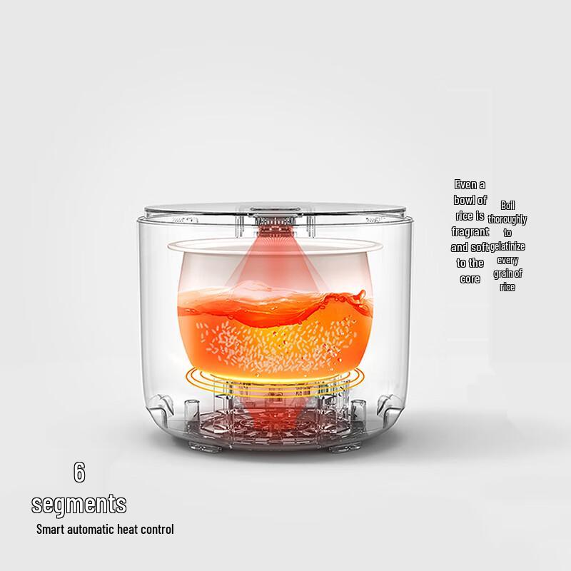 olayks Mini Multi-function Rice Cooker (2-3 Person) CN Plug (adapter Included)