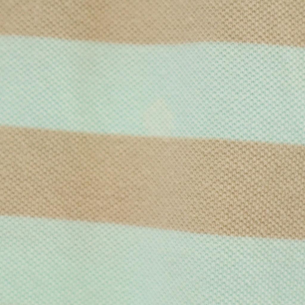 Chaps Border Pattern Short Sleeve Polo Shirt L Mint System Fawn Men's Used