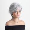 Women Stylish Short Layered Brown Hair Synthetic Silver Gray Wigs with Bangs for Daily Cosplay Lolita Heat Resistant Fibre