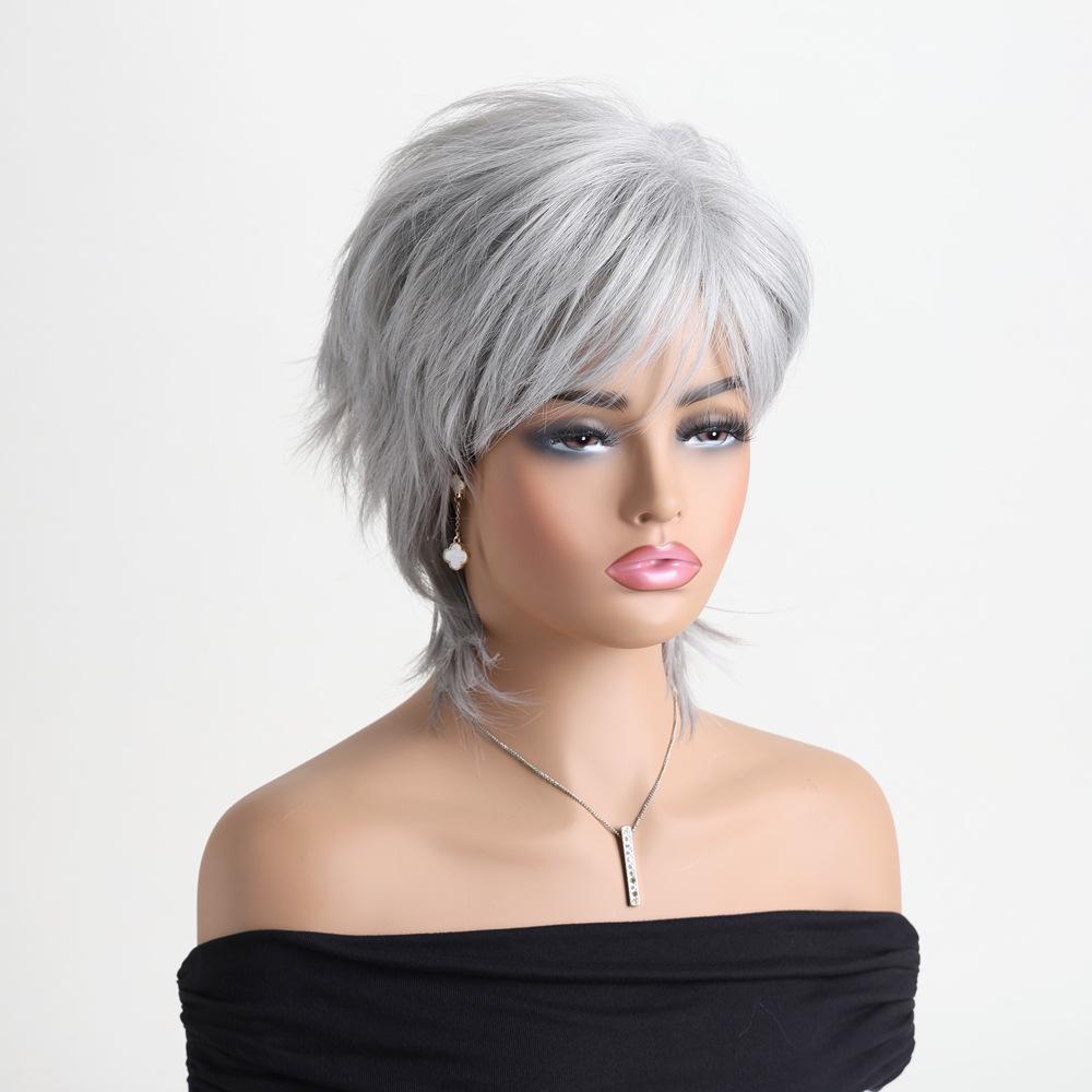 Women Stylish Short Layered Brown Hair Synthetic Silver Gray Wigs with Bangs for Daily Cosplay Lolita Heat Resistant Fibre