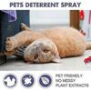 Reliable Cat Anti-Scratch Spray: Safeguard Your Furniture & Deter Cats from Scratching & Gnawing