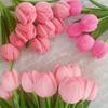 200 Pieces Pink Series Pipe Cleaners, Valentine's Mother's Day Pipe Cleaners, Pink Craft Pipe Cleaners, Chenille Stem