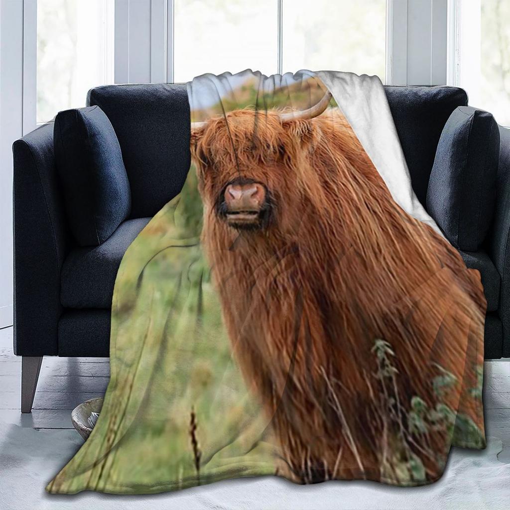 Highland Cow  Blankets Flannel Sofa Throw Blanket Multi-function for Couch Bedding Outdoor Throws Bedspread Quilt