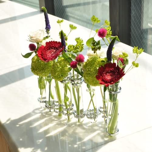 Dulton Link Tube Base, Silver, Test Tube Glass Vase for Flowers, Height 150mm, Width 65-310mm, Depth 35mm, CH03-V76SV