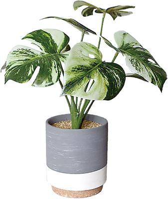 Kijapan (KIjapan) Vaso de Interior, Vaso de Cerâmica, Estiloso, Cinza/Branco, Monocromático, Acabamento tipo Cimento, Fotocatalítico, Monstera (169864)