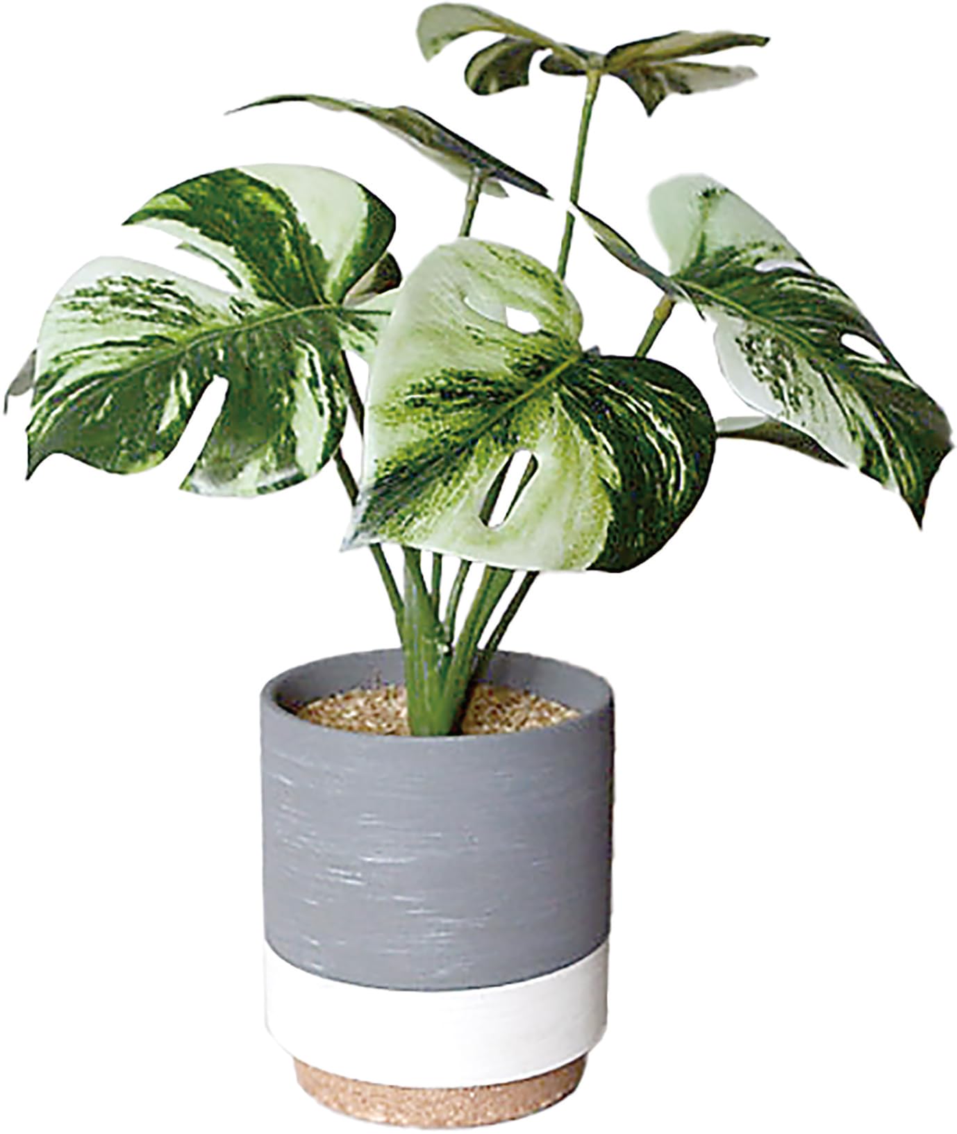 

Kijapan (KIjapan) Indoor Planter, Ceramic Pot, Stylish, Gray/White, Monotone, Cement-like Finish, Photocatalytic, Monstera (169864)
