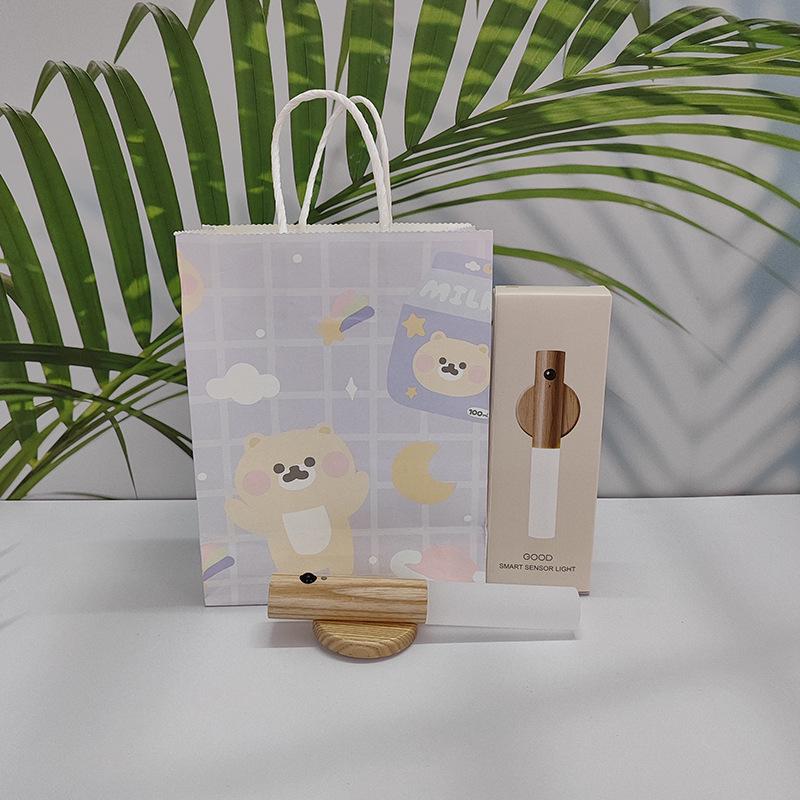 Rechargeable LED Motion Sensor Night Light for Bathroom or Corridor