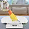 High-precision Digital Scale 10kg/1g Electronic Platform Scale Parcel Small Pet Express Weighing Scale Portable Kitchen Scales