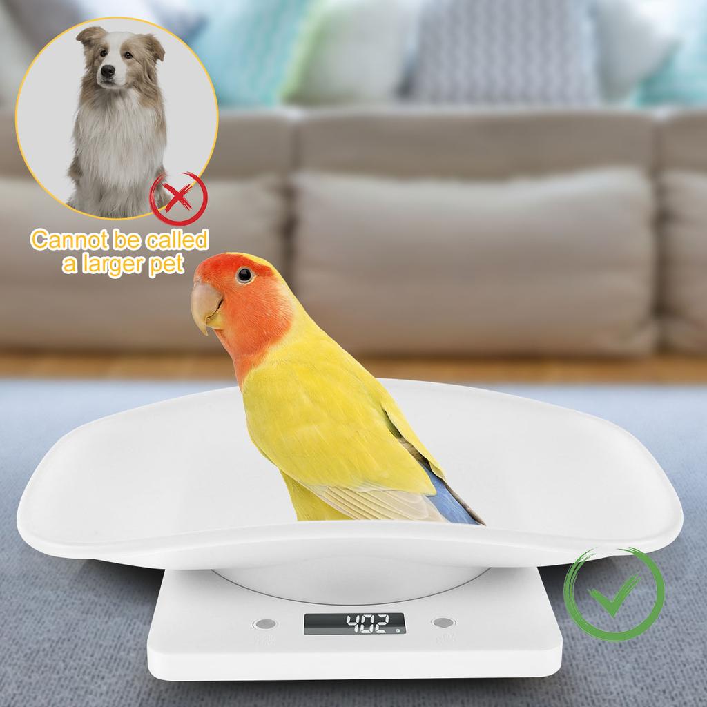 High-precision Digital Scale 10kg/1g Electronic Platform Scale Parcel Small Pet Express Weighing Scale Portable Kitchen Scales