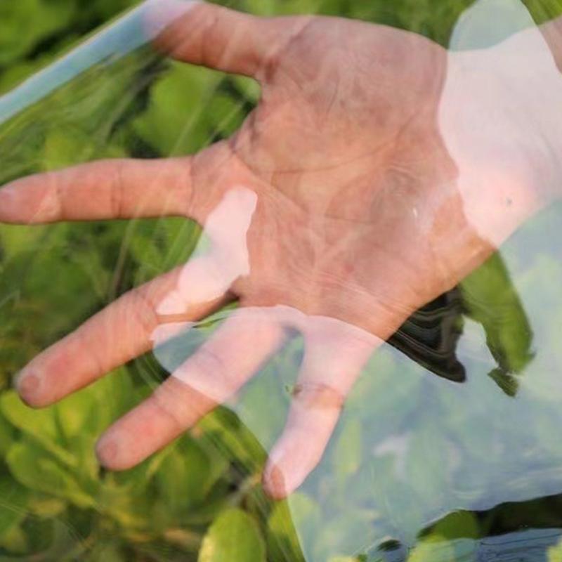 Portables Tarpaulin Garden Succulents Plant Rain Shelter Pet House Waterproofed for Camping and Plant Protecting