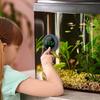 PAIZOO Fish Tank Digital Thermometer Accurate LED Display screen to ±0.32°F Water Tank Thermometer Aquarium Temperature Measurement for