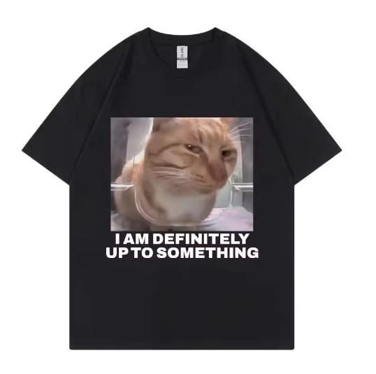 I Am Definitely Up To Something Funny Cat Meme Tshirt High Street Fashion Trend Tshirts Men Women Casual Loose Cotton T Shirt