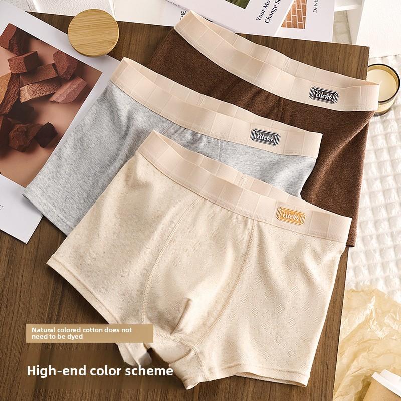 Men's Spring and Autumn High-grade Pure Cotton 10a Antibacterial Flat Angle Underwear