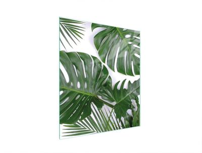 SZKLANA DESKA DO KROJENIA 45x52 MONSTERA