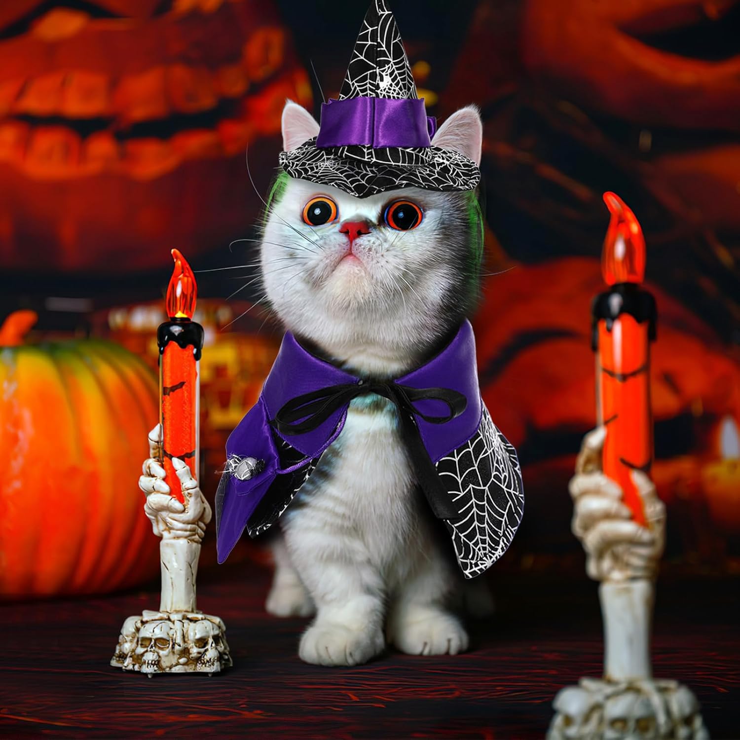 BESPORTBLE 1 Set Halloween Cat Costume Cat Cloak Cat Hat Dog Halloween Costume Halloween Costumes for Cats Puppy Pet, 27.00X13.00X0.20CM, Violet