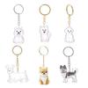 Transparent Dog Hair Collection Pendant Bichon Husky Corgi Portable Dog Hair Storage Box Gifts Pet Hair Ball Storage Pendant