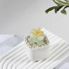 Glazed Succulents Potted Plants Artificial Succulents Mini Maintenance-Free