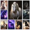 Black And White Wild Horse Wild Animal Prints Poster Canvas Painting Modern Wall Art Picture Living Room Bedroom Home Decoration