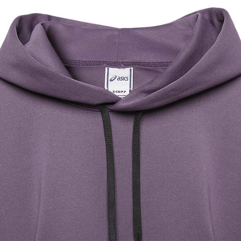 Asics Aw24 Hoodie Sportstyle Series Solid Color Casual Long Sleeve Sweatshirt Unisex Hoodies Purple 2203A285-500