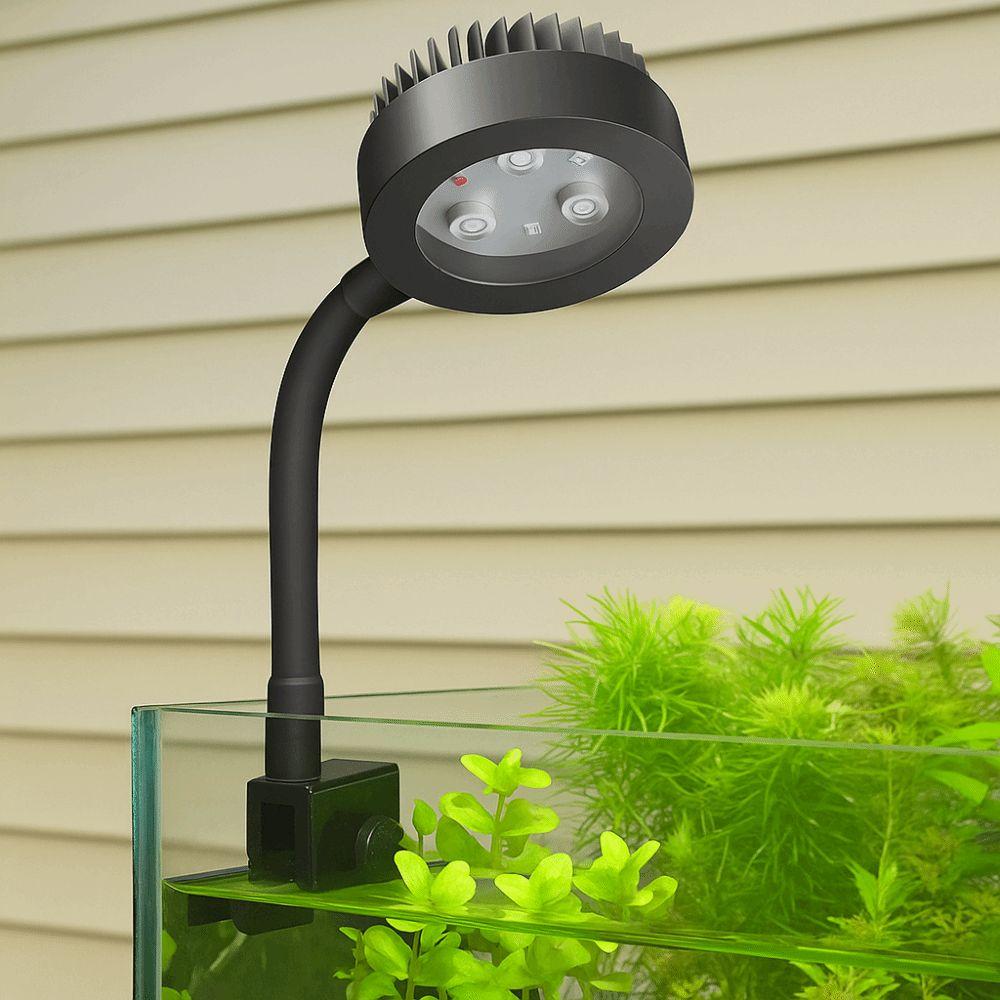 3 Color Modes Fish Tank Clip Lamp Adjustable Focus Spotlight  South American Fish Tank