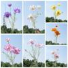 Plastic Artificial Cosmos Flower Branch Realistic Fake Flower  Home Hotel Table Decor