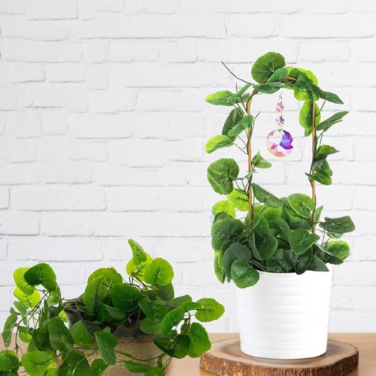 Trelli Flowers Stand Cage Tree Garden Plant Support Home Plant Care Soil Arrangement for Indoor Display