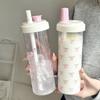 700ml Portable Large Capacity Women Water Cup Pink Bow Print Tumbler Water Bottle with Straw Lid Girly Attractive Drinking Cup