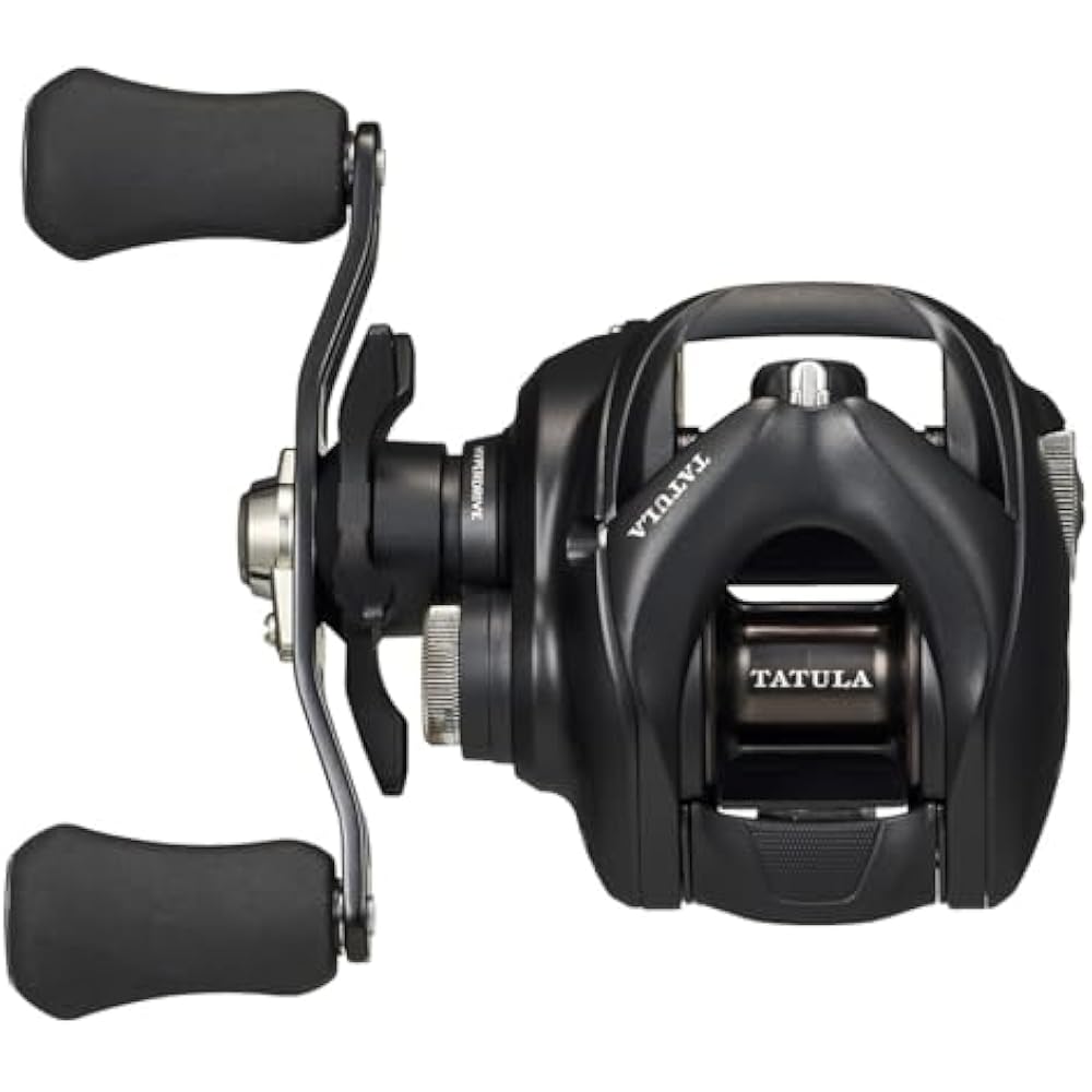 Daiwa (DAIWA) Bait Reel 24TW 100HL
