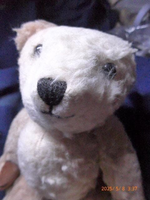 [USED] This Is a Very Rare Teddy Bear from Nisbe, a Long-established British Teddy Bear Manufacturer. It Is Hard To Find.