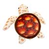 Collection Animal Sea Turtle Pillow Fluffy Turtle Animal Doll  Children Gift