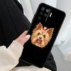 Cute Yorkshire Terrier Case For Oppo A54 A74 A94 A18 A57 A17 A77 A38 A58 A78 A98 A80 A60 A40 A96 A76 A16 A15 A5 Pro