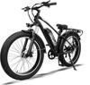 A35 Elektrisches Mountainbike, 48V 13Ah Abnehmbarer Akku, Shimano 7-Gang