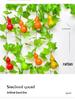 Artificial Gourd & Fruit Vine Decoration for Air Conditioner Pipes and Ceilings