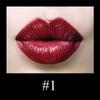 Waterproof Moisturizing Matte Lipstick Set Magnetic Lipstick Lipstick