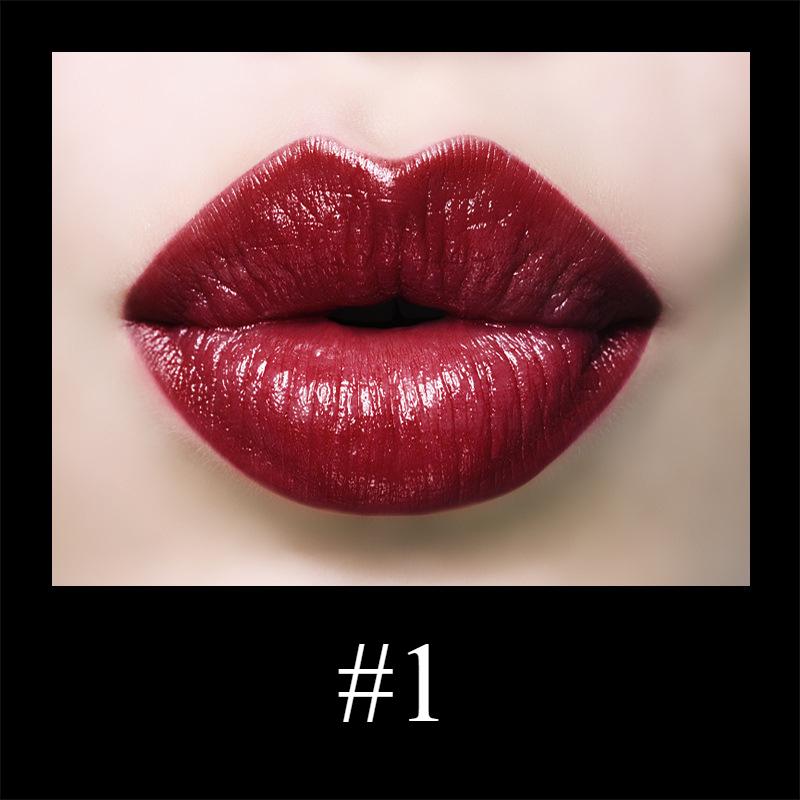 Waterproof Moisturizing Matte Lipstick Set Magnetic Lipstick Lipstick