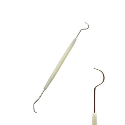 Quality Material Dental Probe Dental Clinic Oral Instrument Disposable Tools