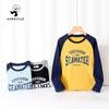 New Korean-Style Cotton Cashmere Raglan T-Shirts for Boys, Long-Sleeved, Ideal for Spring and Autumn.