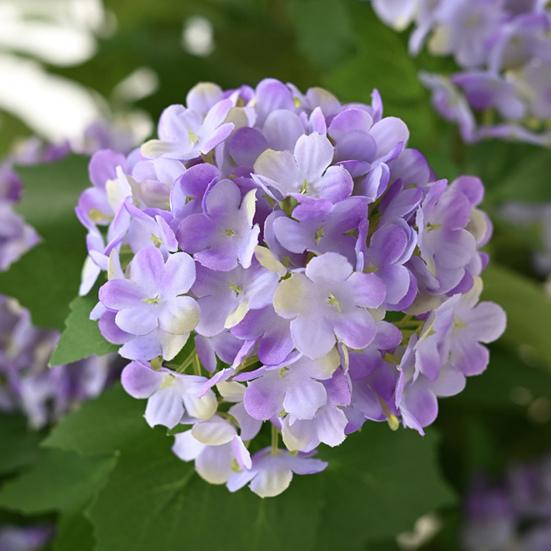Faux Hydrangea with Bendable Stem Realistic Simulated Hydrangea Long-lasting Fake Flowers for Floral Arrangements Home Decor Weddings