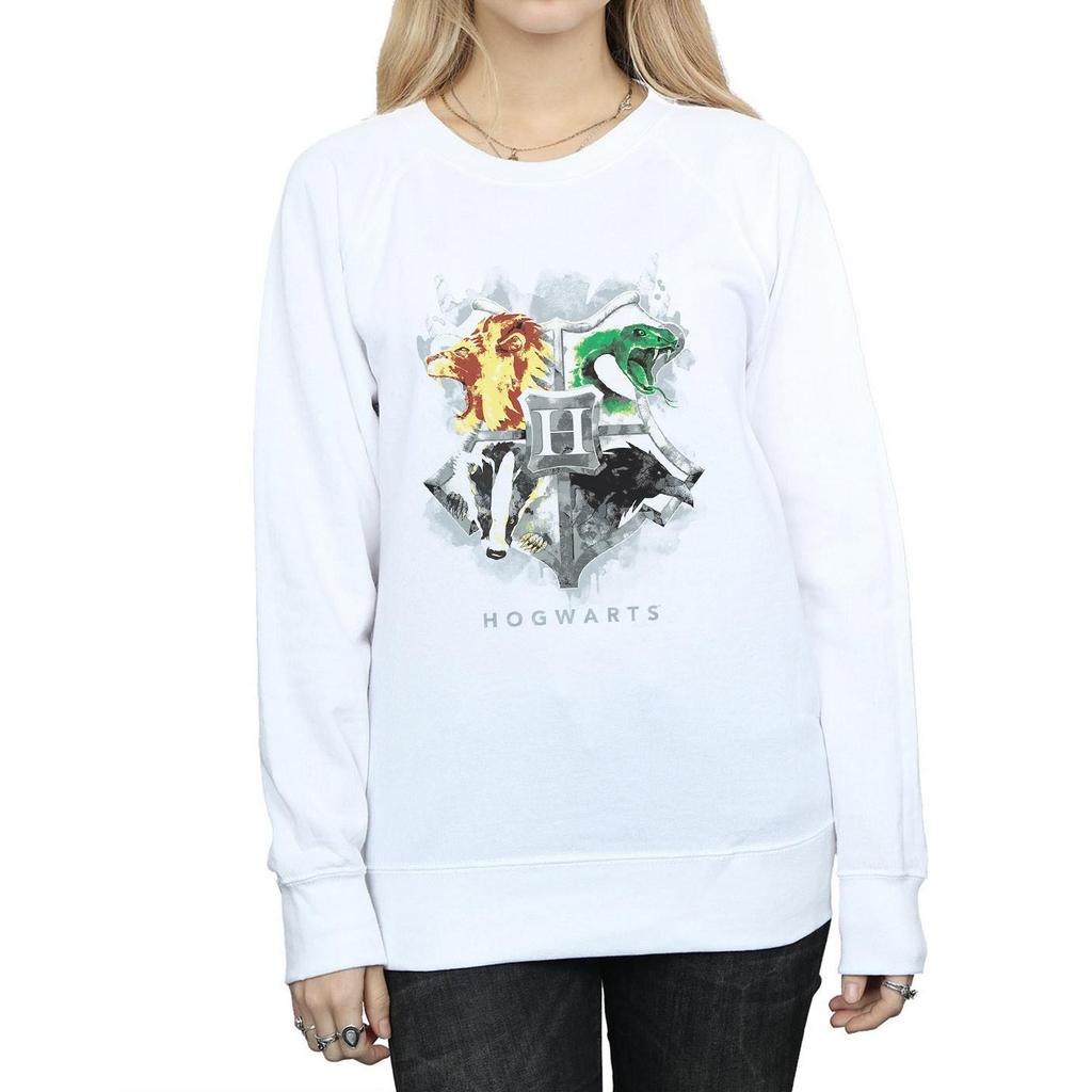 Harry Potter Womens/Ladies Hogwarts Painted Crest Sweatshirt