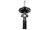 Ft11021 Fast Shock Absorber Front /R Gas