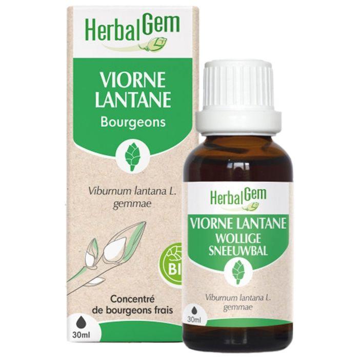 Herbalgem Macérat Concentré Viorne Bio 30ml